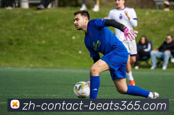 beats365平台生态图